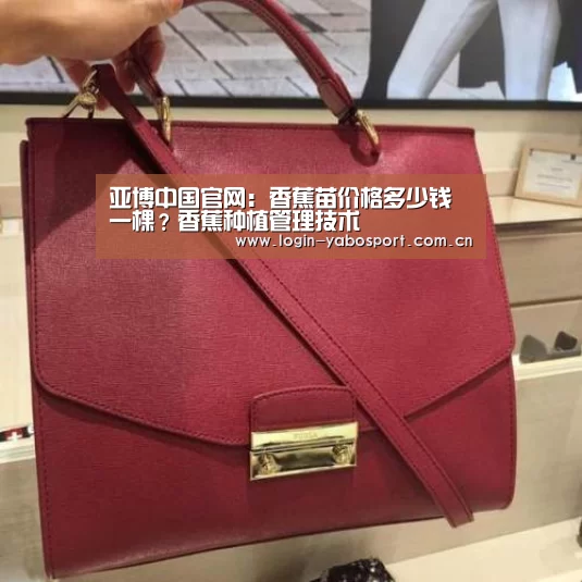 亚博中国官网：香蕉苗价格多少钱一棵？香蕉