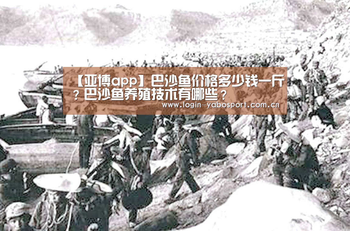 亚博平台
